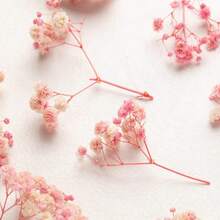 50/100 件人造白色迷你满天星干花，象牙色花瓶装饰，适用于婚礼、家居、办公室、派对、花园、卡片制作、DIY - 淺粉色 - 查看 5