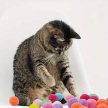 互动式猫玩具发射器套装 - 内含1个玩具发射器和10/20/30/50/100个毛绒球。这款室内猫玩具专为活跃玩耍而设计，通过趣味十足的动作互动，增进主人与猫咪之间的爱与信任。