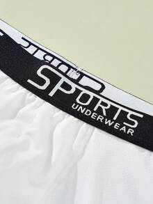 3 Packs Men's Multicolor Briefs Letter Elastic Waist Comfort Boxer Briefs