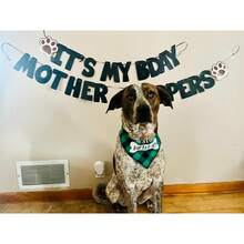 狗狗生日派对套装-爪印横幅，宠物狗主题生日派对装饰狗狗生日拉旗狗爪拉旗横幅