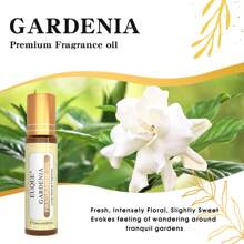 1瓶10毫升/0.33液盎司EUQEE香氛精油滚珠瓶，适用于身体香氛、约会、散发魅力，持久留香，包含白麝香、椰子香草、乖乖女、沉香木、香草麝香、天使、S@Auvag、璀璨水晶、性感炸弹、琥珀浪漫、Jador、草莓、樱桃、清新亚麻、泡泡糖、海风等香型。