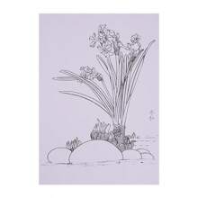 Set de colorear para adultos con acuarelas - 20 patrones florales + 1 imagen de referencia, perfecto para la práctica diaria de pintura con acuarelas, papel especial para acuarelas, regalo ideal para festivales y cumpleaños