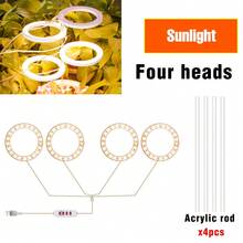 1/2/3/4头LED植物生长灯全光谱日光/红蓝/粉色USB 5V室内可调光盆栽多肉花卉绿植幼苗水培灯8/12/16小时循环定时自动开关专业仙人掌盆景补光灯可调亮度UV IR温室帐篷生长箱水果蔬菜栽培照明20/40/60/80led