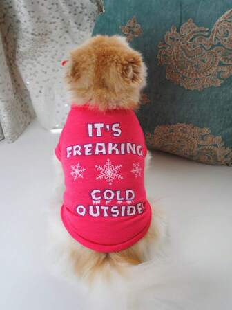 宠物棉质T恤，透气舒适，亮白雪花色，秋冬