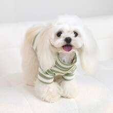 1 件条纹弹性柔软宠物毛衣，适合春、夏、秋、冬，适合中小型犬，有灰色、绿色、蓝色可选