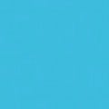 Paradise Blue