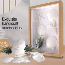 5PCS Natural White Fan Shells - Available For Purchase In Sets Of 5-100 Pieces, DIY Handicrafts, Home Decor, Beach Weddings And Coastal Wall Art, Exquisite Decorative Shells | Floral Shell Embellishments | Smooth Shell Surfaces - White - View 11