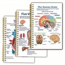 3本解剖学笔记本，13.97 x 21.08厘米，双面印刷，50页，圆角，带封面，学习佳品 - 均碼 - 查看 1
