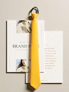 1 条男士 5 厘米纯色拉链领带，西装衬衫装饰，适合日常聚会和商务场合