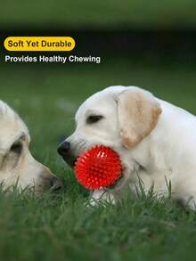 1pc/2pcs/3pcs/4pcs Pet Chew Squeaky Ball Soft TPR Floating Dog Pool Toy, Reduce Anxiety, Fetch Toy, Teeth Cleaning, Interactive Dog Toy, Suitable For Small & Medium Pets, No Battery