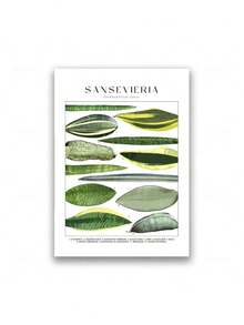 1 pièce Affiche murale minimaliste classique, imprimé botanique floral de plantes tropicales, style nordique. Peinture sur canevas pour décoration de la maison, du salon et de la chambre à coucher