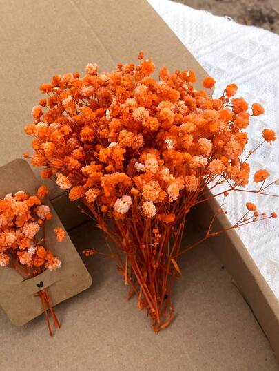 50/100/300pcs Natural Dried Baby's Breath Flowers - Elegant Preserved Baby's Breath, Suitable For Home, Office, Wedding, Christmas, Halloween Parties, Crafts Maintenance-Free, Suitable For Ages 14+ (No Paper Card)