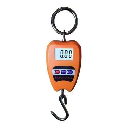 Balança digital suspensa para até 200kg inox Pesca horti fruit bode peso