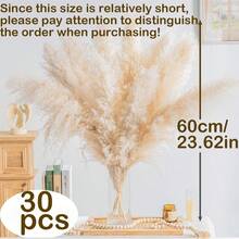 10/20/30 Stücke 60/100/80 cm hohe beige flauschige Deluxe Pampasgras Stiele, trockener Pampasgras Strauß um Boho & Landhausstil in Ihren Raum zu bringen - Pampasgras ist eine ideale Wahl für Blumenarrangements, Heimdekoration, Abschluss, Homecoming/Vasen, Hochzeiten & um eine Boho-Atmosphäre Zuhause zu schaffen. Perfekt für Halloween & Hochzeitsdekoration, Valentinstag, Geschenke Geburtstag, Herbstdekoration, Künstliche Pflanzen