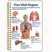 3本解剖学笔记本，13.97 x 21.08厘米，双面印刷，50页，圆角，带封面，学习佳品 - 均碼 - 查看 8