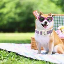 Elegant Small Tail Dog Collar, Purple Pet Collar, Adjustable Cute Dog Collar With Quick Release Buckle - Purple - View 4