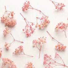 50/100 件人造白色迷你满天星干花，象牙色花瓶装饰，适用于婚礼、家居、办公室、派对、花园、卡片制作、DIY - 淺粉色 - 查看 9