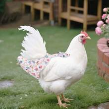 Pañal de pato reutilizable con moño para aves de corral, pañales lavables para pollos, ajustable para mascotas de granja como gansos - Multicolor - Ver 3
