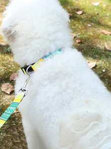 可调节波西米亚风格宠物项圈，适用于猫和狗 - 黃色 - 查看 6