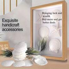 5PCS Natural White Fan Shells - Available For Purchase In Sets Of 5-100 Pieces, DIY Handicrafts, Home Decor, Beach Weddings And Coastal Wall Art, Exquisite Decorative Shells | Floral Shell Embellishments | Smooth Shell Surfaces - White - View 9