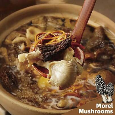 30g Seelo Superfoods Mushroom Soup, Cordyceps Militaris, Lions Mane, Hericium Ericium, Coprinus Coprinus, Chanterelle, Shiitake, Oyster Mushrooms, Seafood Flavor, Natural Raw Food, Hypoallergenic, 1 Year Shelf Life, No LACF/AF, Original Diet, Savory Broth Addition | Elegant Packaging