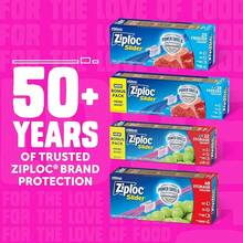 Bolsas de almacenamiento  Slider cuarto 42 ct - 42 cuentas - Ver 3