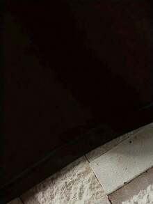 Women's Casual T-Shirt With Hillman College Vintage Logo Print For School Spirit And Daily Wear, Fast Arrival , ,   Round Neck Short Sleeve Knit Polyester Tee, Fashionable For Summer Daily Wear-Unisex Loose 100% Cotton T-Shirt - 黑色 - 查看 2