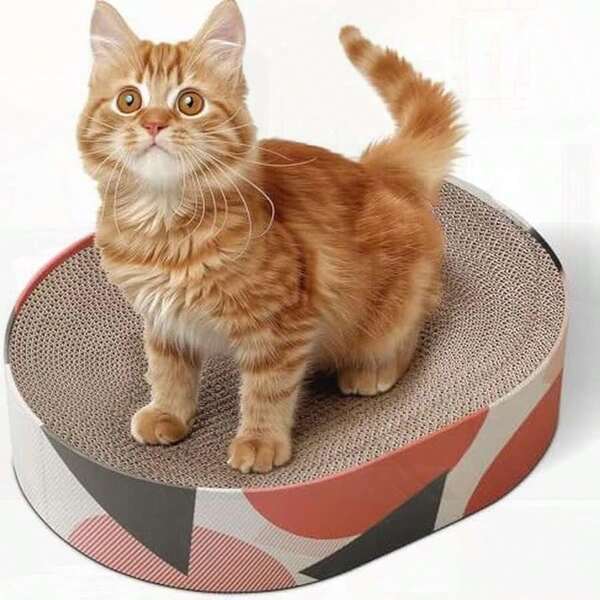 Oval Corrugated Cardboard Scratch Pad, Cat Scratcher For Furniture Protection & Training