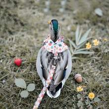 Pañal de pato reutilizable con moño para aves de corral, pañales lavables para pollos, ajustable para mascotas de granja como gansos - Multicolor - Ver 9