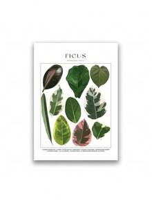 1 pièce Affiche murale minimaliste classique, imprimé botanique floral de plantes tropicales, style nordique. Peinture sur canevas pour décoration de la maison, du salon et de la chambre à coucher