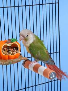 1 szt. Kolorowy pręt do mielenia papug ze stali nierdzewnej, ze śrubami do mocowania, zapewnia ptakom grzędę i rozrywkę, edukacyjne artykuły dla ptaków, akcesorium do klatki dla ptaków, zabawka dla papugi (wszystkie kolory akcesoriów, losowo montowane)