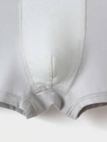 Balabala 男童棉质抗菌内裤3条装平角内裤 - 灰紅色調 - 查看 6