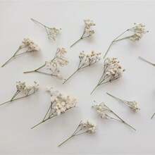 50/100 件人造白色迷你满天星干花，象牙色花瓶装饰，适用于婚礼、家居、办公室、派对、花园、卡片制作、DIY - 白綠色 - 查看 4