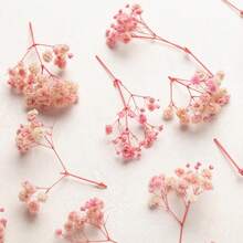 50/100 件人造白色迷你满天星干花，象牙色花瓶装饰，适用于婚礼、家居、办公室、派对、花园、卡片制作、DIY - 淺粉色 - 查看 8