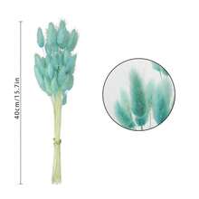 17 Natural Bunny Tails Dried Flowers, 120 Pcs Dried Lagurus Ovatus, Dried Blue Pampas Grass Decor For Farmhouse Flower Arrangements Wedding Home Party Decorations-544931 - 青藍-240件 - 查看 3