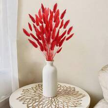17 Natural Bunny Tails Dried Flowers, 120 Pcs Dried Lagurus Ovatus, Dried Blue Pampas Grass Decor For Farmhouse Flower Arrangements Wedding Home Party Decorations-544931 - Red-50pcs - 查看 7