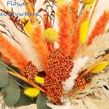 25/43 Pcs Autumn Fluffy Reed And Rabbit Tail Reed Bouquet - Suitable For Wedding, Home And Office Decoration, Unique Bohemian Style, Perfect For Room, Various Occasion Decoration, Natural Flower Arrangement, Such As Christmas, Valentine's Day, Thanksgiving, Mother's Day, Graduation Ceremony, Dried Flower Bouquet