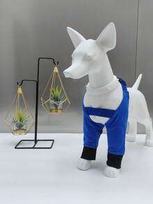 狗狗护膝、腿套、肘部保护套、狗狗衣服、狗狗保暖服、防舔护膝、大腿保护套