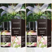 10ml wasserlösliches Aromatherapie Ätherisches Öl, Raumduft für Zuhause/Schlafzimmer/Auto, wasserlöslich für Luftbefeuchter, Diffuser, Duftsteine, enthält Jasmin, Rose, Sandelholz, Lavendel, Zitrone und über 10 Düfte