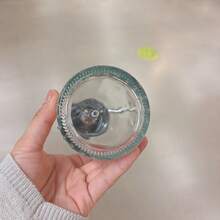 Vintage Glass Plant Mister Spray Bottle, Retro Pressure Watering Can For Indoor Plants, Decorative Small Water Sprayer With Metal Nozzle, Ideal For Succulents & Houseplants Care, Leak - Proof Design