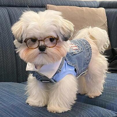 1-2 件狗太阳镜猫宠物产品，娃娃眼镜配件，可爱复古圆形反光眼镜小型犬猫宠物摄影道具配件