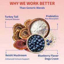 Turkey Tail Mushrooms For Dogs, Edible Fungus Supplements, Probiotic Powder For Dogs
