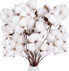 Natural Dried Cotton Stems 8-Pack For Floral Arrangements - 30 - 查看 12