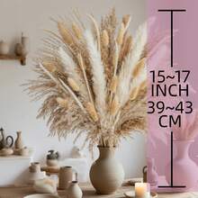 Extra Large Dried Floral Bouquet 119PCS/362PCS/653PCS Bundle - Abundant Pampas Grass & Plush Bunny Tails - Timeless Beige Ivory White Palette - Hassle-Free Forever Flowers For Vases - Ultimate No Fuss Decor - Versatile For Scandinavian Minimalist, Boho, Or Contemporary Interiors - Brightens Bedrooms, Offices, Cafes, Weddings, Porches & Makes A Stunning Present - 米色 - 查看 2