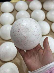 New Arrival Soft, Sticky-Bottom Steamed Bun Squishy Stress Relief Toy, Slow Rebound