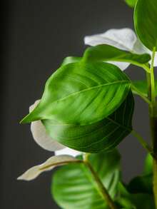 Kmitang 82-144cm Large Artificial Magnolia Flower, Fake Southern Bamboo Branch, Plastic Banyan Leaves, Faux Rubber Tree, Tropical Palm Plant, Suitable For Home, Garden, Office Decor, Not Including 1 Plant - White - View 7
