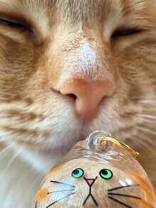 可爱小猫/猫咪毛发收纳盒宠物毛发收纳胶囊动物造型胶囊吊坠 - 彩色 - 查看 6