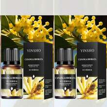 10ml wasserlösliches Aromatherapie Ätherisches Öl, Raumduft für Zuhause/Schlafzimmer/Auto, wasserlöslich für Luftbefeuchter, Diffuser, Duftsteine, enthält Jasmin, Rose, Sandelholz, Lavendel, Zitrone und über 10 Düfte