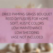 Extra Large Dried Floral Bouquet 119PCS/362PCS/653PCS Bundle - Abundant Pampas Grass & Plush Bunny Tails - Timeless Beige Ivory White Palette - Hassle-Free Forever Flowers For Vases - Ultimate No Fuss Decor - Versatile For Scandinavian Minimalist, Boho, Or Contemporary Interiors - Brightens Bedrooms, Offices, Cafes, Weddings, Porches & Makes A Stunning Present - 米色 - 查看 3
