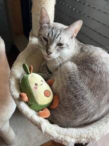 Cat Teasing Toys - Cute & Soft Interactive Playmate For Cats & Dogs, Perfect Gift For Pet Birthdays & Adoption Days (1PC) - Multicolor - View 5